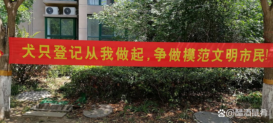 雷波房产网